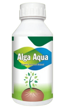 ALGA AQUA