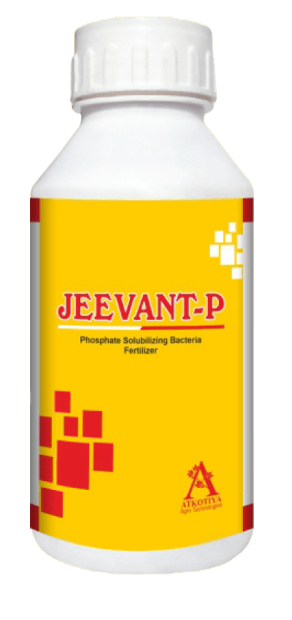 JEEVANT-P