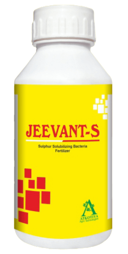 JEEVANT-S