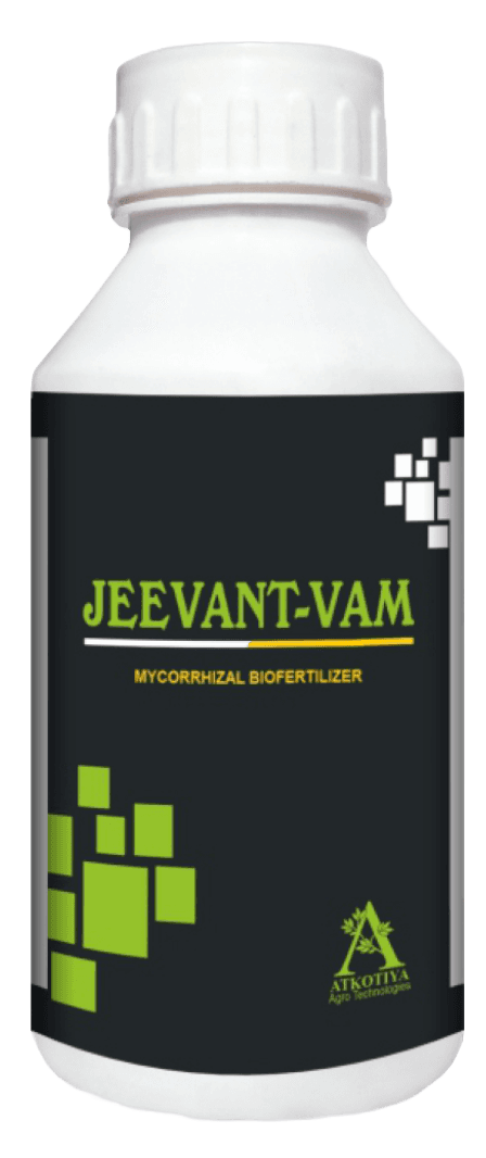 JEEVANT-VAM