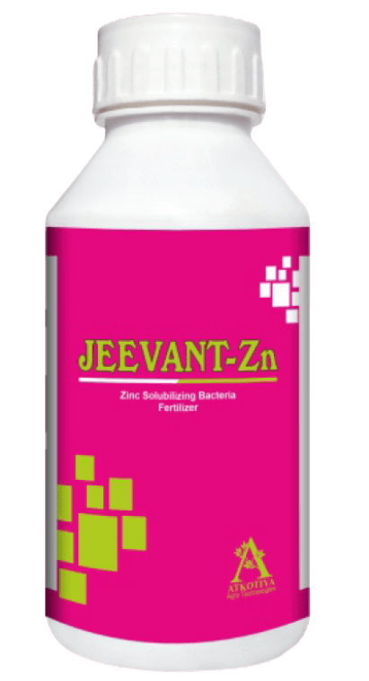JEEVANT-Zn