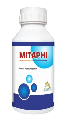 MITAPHI