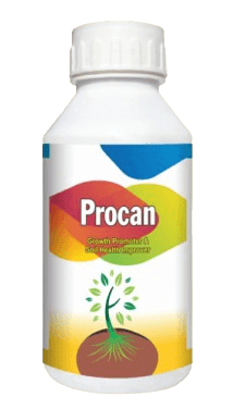 PROCAN