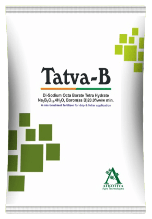 Tatva-B