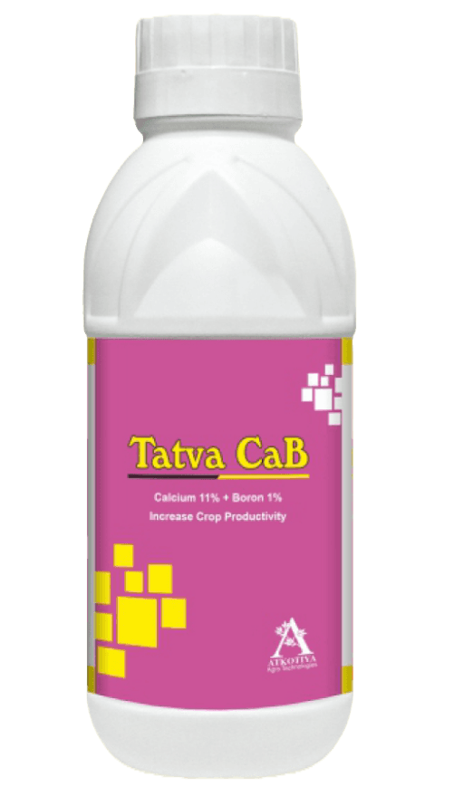Tatva-CaB
