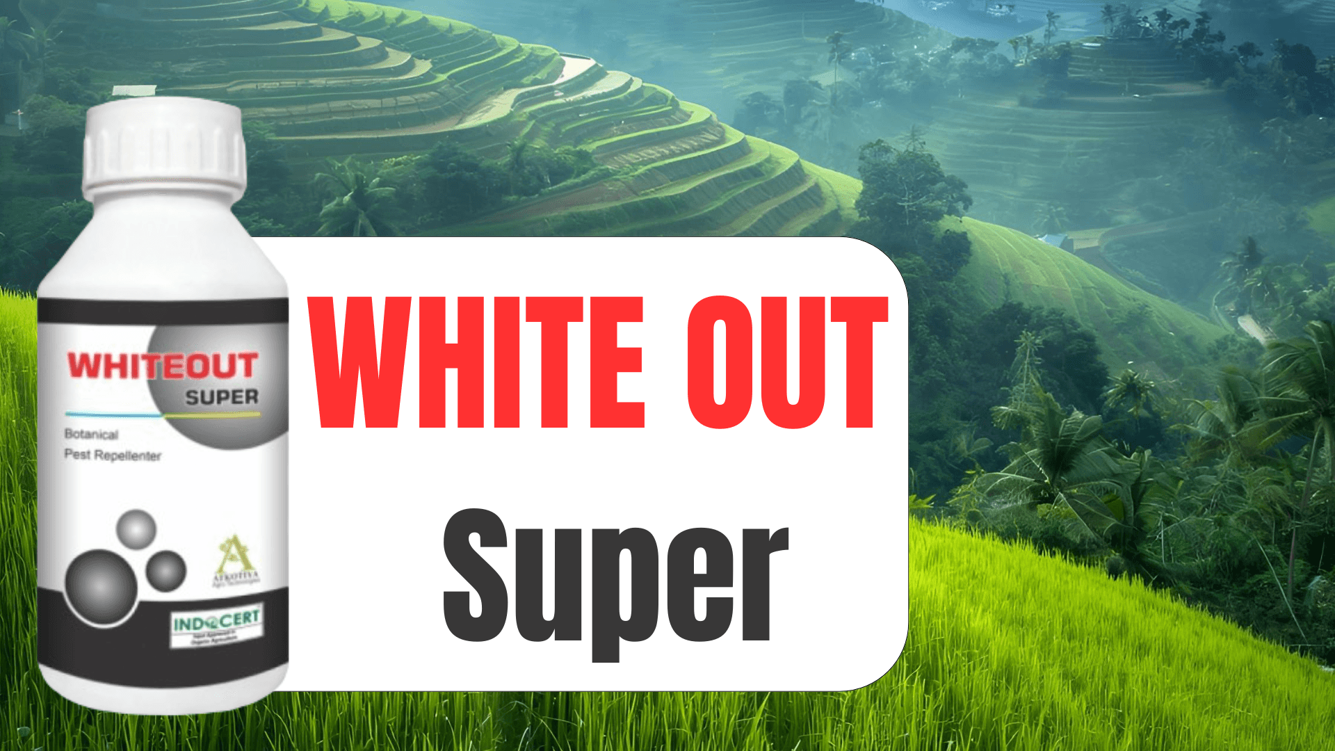 white-out-super.png